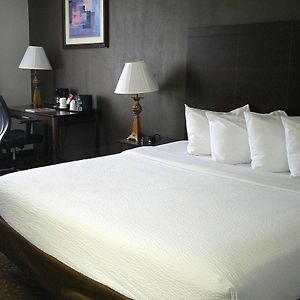 Atrium King Room